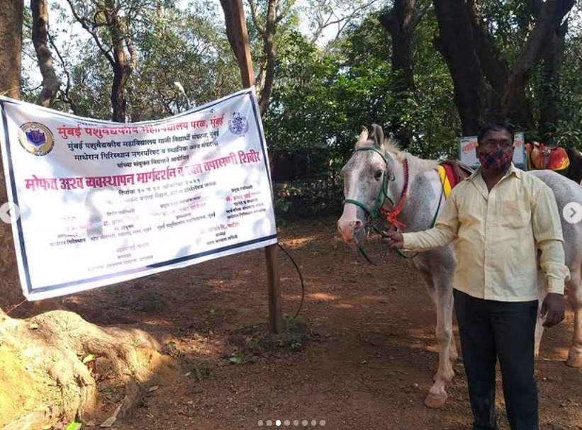 Participating Horses Along With Owner In Equine Gelding Camp 2021